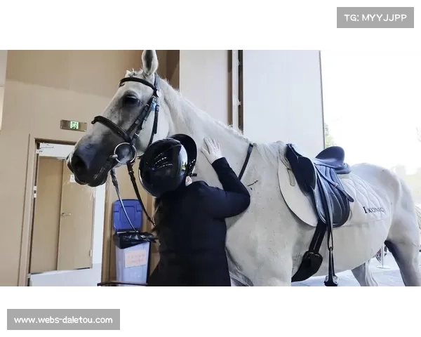 世界马术锦标赛：盛装舞步评分标准改革引发选手质疑